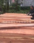 厂家供应南美楝木板材 苦楝木板材 楝木原木家具定制用材料